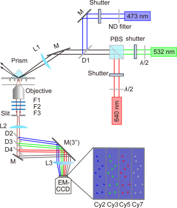 Single-molecule multicolor FRET assay for studying structural dynamics of biomolecules