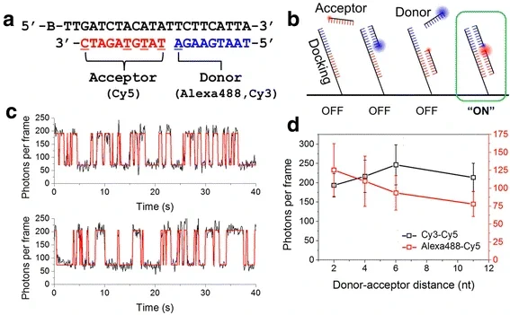 Accelerated super-resolution imaging with FRET-PAINT