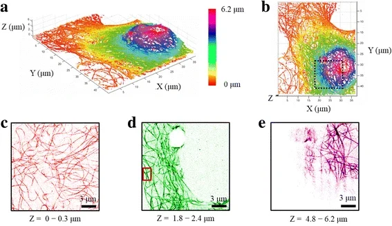Superresolution fluorescence microscopy for 3D reconstruction of thick samples