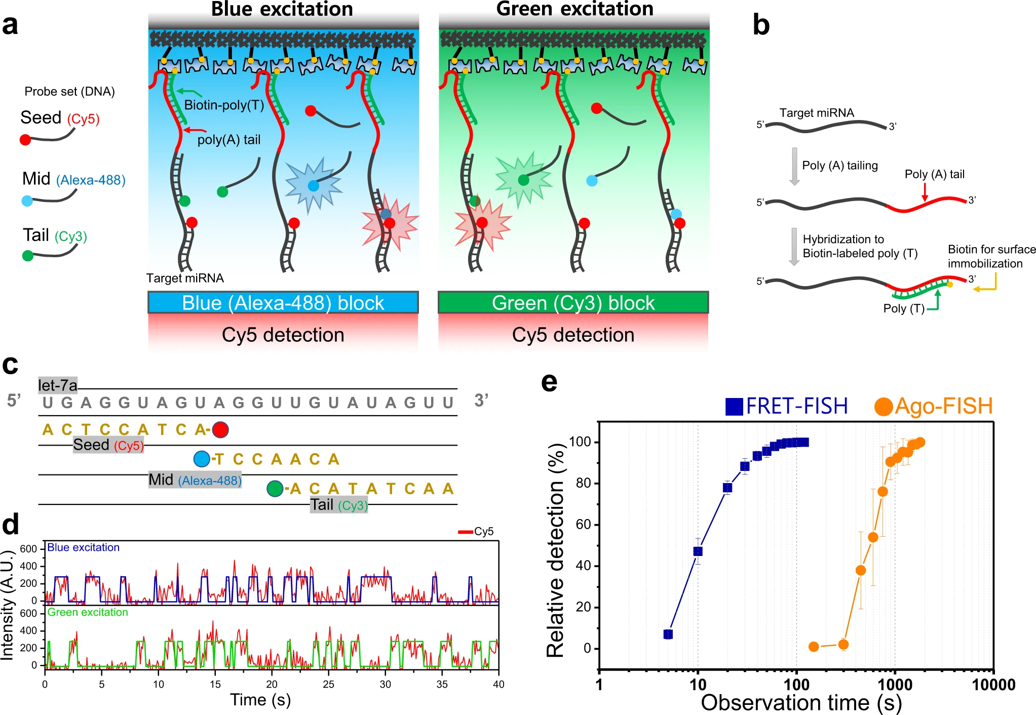 Rapid quantification of miRNAs using dynamic FRET-FISH