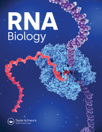 Mature microRNA-binding protein QKI promotes microRNA-mediated gene silencing