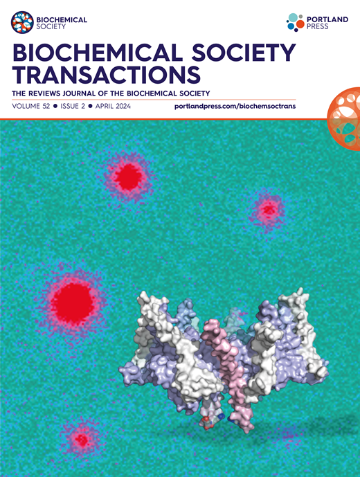 Compatibility of termination mechanisms in bacterial transcription with inference on eukaryotic models